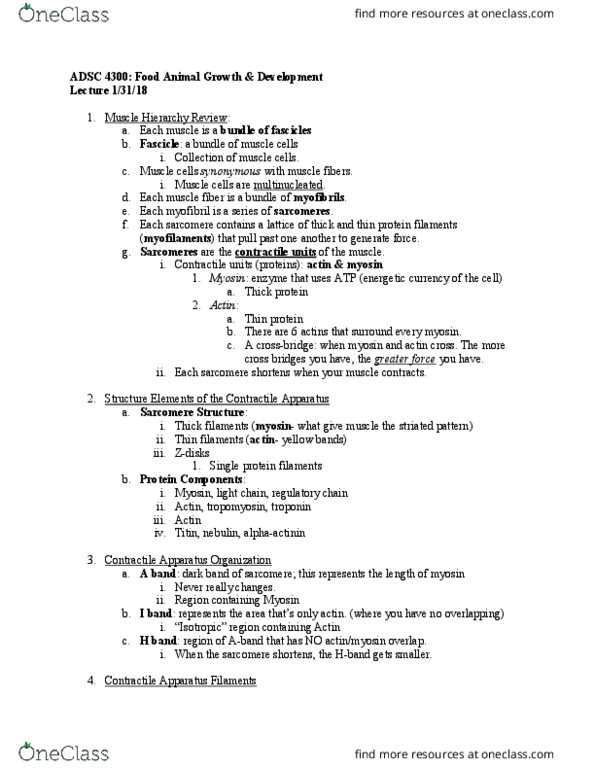 ADSC 4300 Lecture Notes - Lecture 2: Sarcomere, Myocyte, Troponin C thumbnail