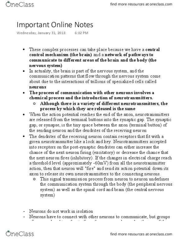 PSY 100 Chapter Notes - Chapter 3: Peripheral Nervous System, Axon Terminal, Brainstem thumbnail