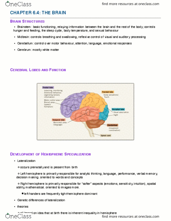 PSY 2105 Chapter Notes - Chapter 6.4: White Matter, Midbrain, Cerebellum thumbnail