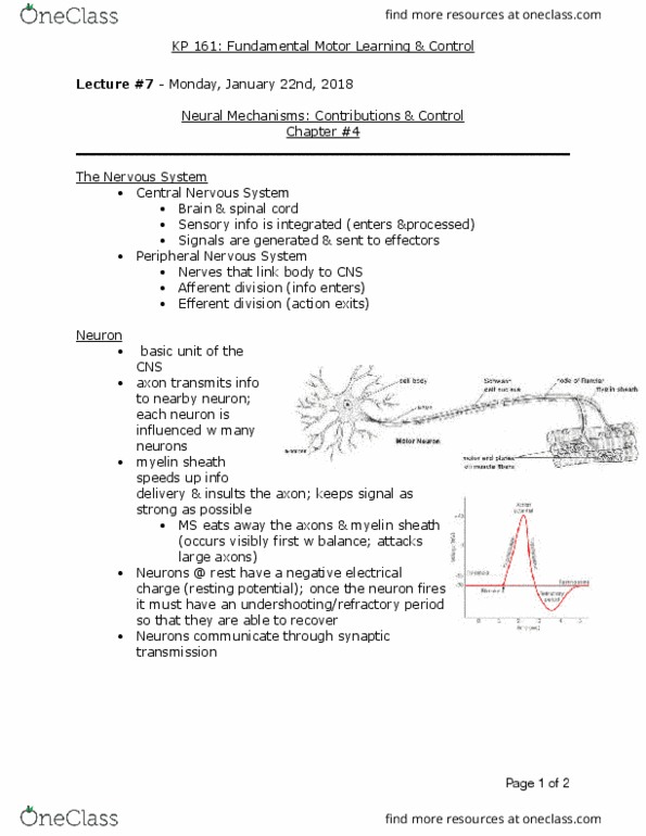 KP161 Lecture Notes - Lecture 7: Myelin, Peripheral Nervous System, Central Nervous System thumbnail