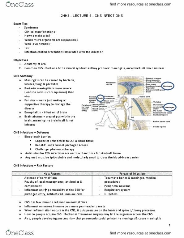 HTHSCI 2HH3 Lecture Notes - Lecture 4: Altered Level Of Consciousness, Aseptic Meningitis, Viral Meningitis thumbnail