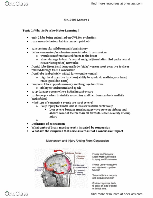 Kinesiology 1080A/B Lecture Notes - Lecture 1: Traumatic Brain Injury, Frontal Lobe, Temporal Lobe thumbnail