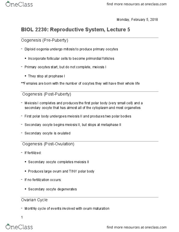 BIOL-2230 Lecture Notes - Lecture 5: Corona Radiata, Ovarian Follicle, Folliculogenesis thumbnail