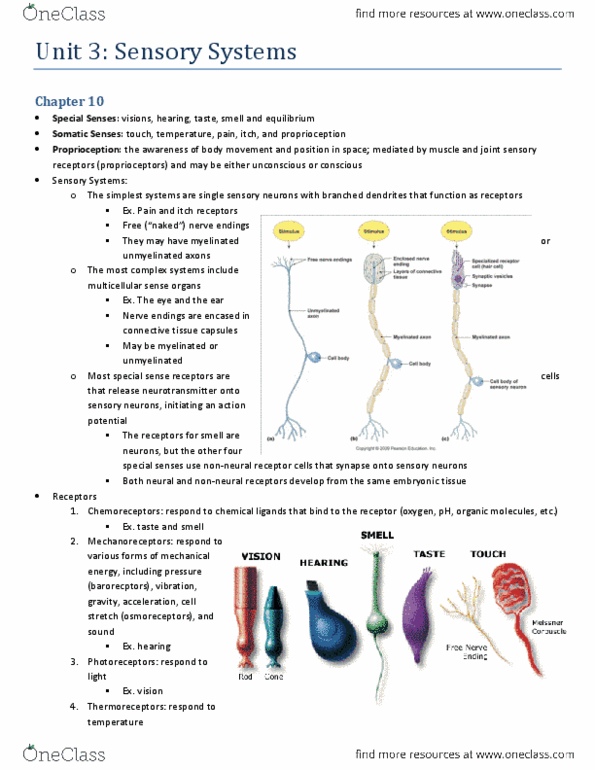 BIOL373 Chapter Notes -Noxious Stimulus, Vestibular Nerve, Cyclic Guanosine Monophosphate thumbnail