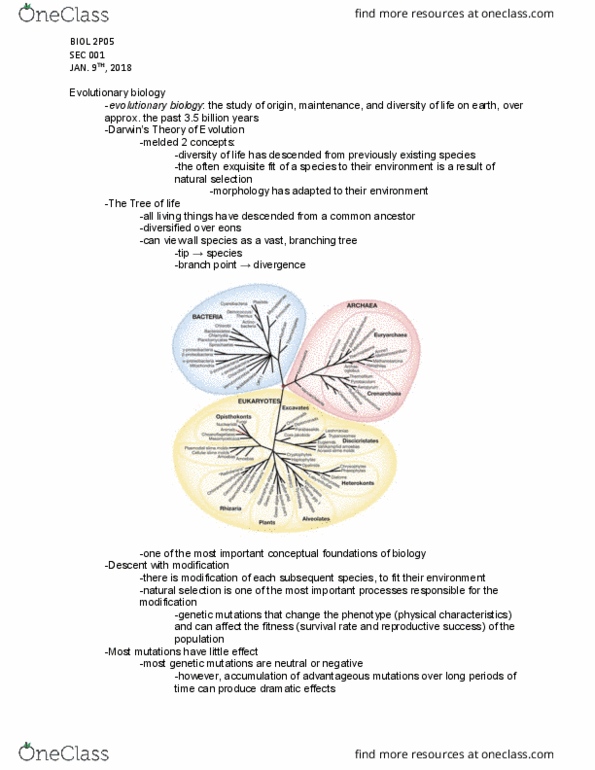 BIOL 2P05 Lecture Notes - Lecture 1: Pesticide Resistance, Conservation Biology, Phylogenetic Diversity thumbnail