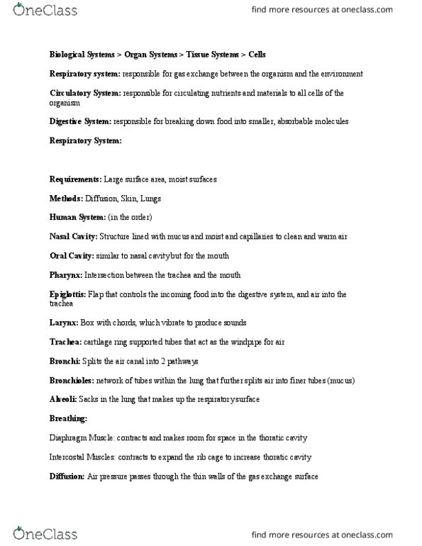 BIOA02H3 Chapter Notes - Chapter Module 2: Respiratory System, Trachea, Epiglottis thumbnail