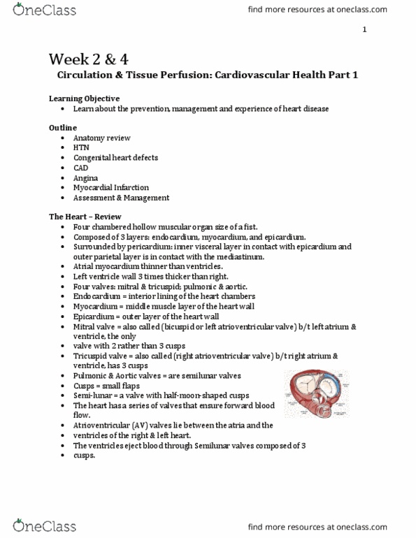 Nursing 3920A/B Lecture Notes - Lecture 2: Mitral Valve, Heart Valve, Aortic Stenosis thumbnail