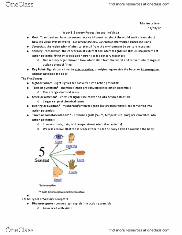 PSYC 2012 Lecture Notes - Lecture 20: The Five Senses, Somatosensory System, Taste thumbnail