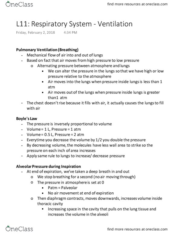 KINESIOL 2YY3 Lecture Notes - Lecture 11: External Intercostal Muscles, Rib Cage, Thoracic Wall thumbnail