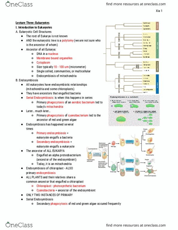 01:119:116 Lecture Notes - Lecture 3: Symbiogenesis, Red Algae, Proteobacteria thumbnail