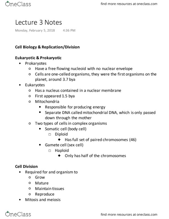 ANTH 101 Lecture Notes - Lecture 3: Nuclear Membrane, Somatic Cell, Nucleoid thumbnail