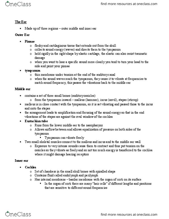 Nursing HDP401 Lecture Notes - Lecture 3: Eustachian Tube, Semicircular Canals, Oval Window thumbnail