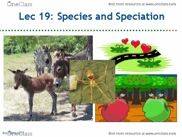 Biology 1001A Lecture : Lec 19 species speciation post.pptx thumbnail