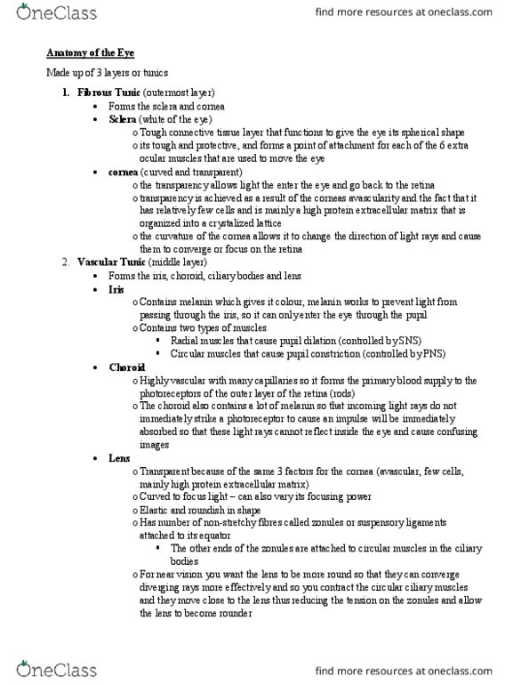 Nursing HDP401 Lecture Notes - Lecture 3: Color Vision, Peripheral Vision, Melanin thumbnail