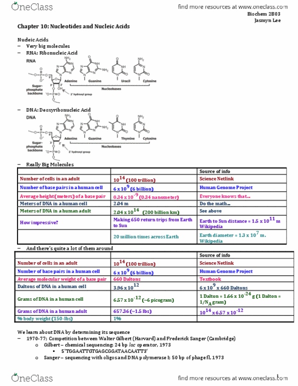 BIOCHEM 2B03 Chapter Notes - Chapter 10: Glycoside Hydrolase, Transfer Rna, Small Nucleolar Rna thumbnail