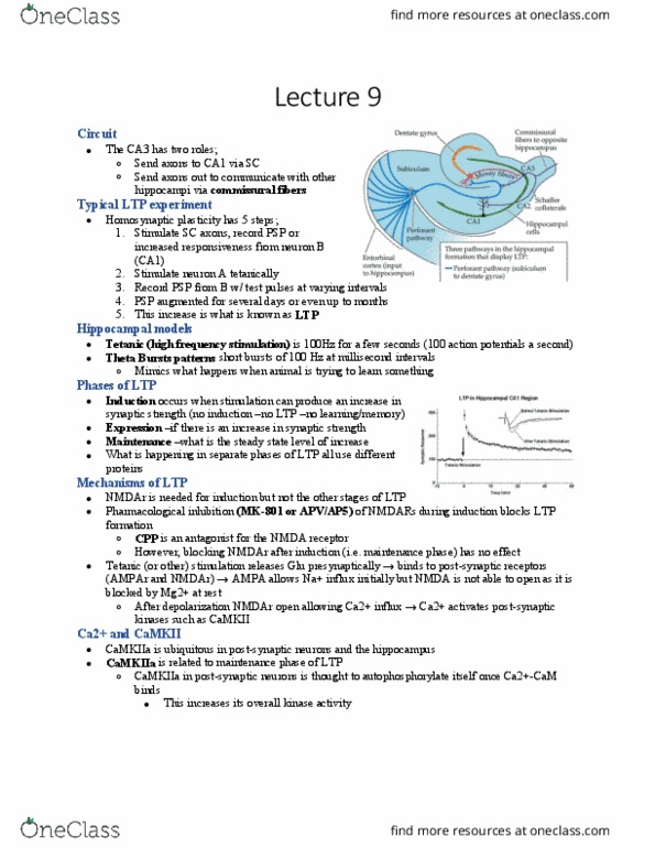HMB300H1 Lecture Notes - Lecture 9: Entorhinal Cortex, Mifepristone, Endocytosis thumbnail