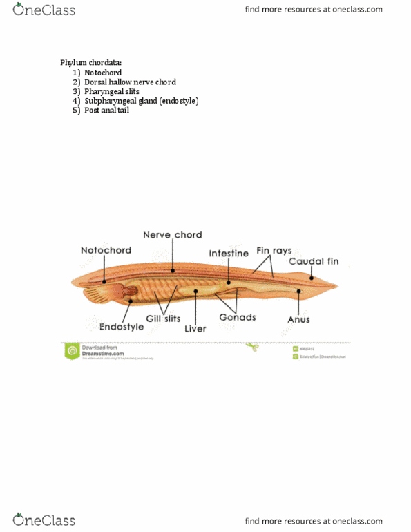 https://new-docs-thumbs.oneclass.com/doc_thumbnails/new_mobile/1835073-study-guides-ca-u-of-g-zoo-2090-examfinal.jpg