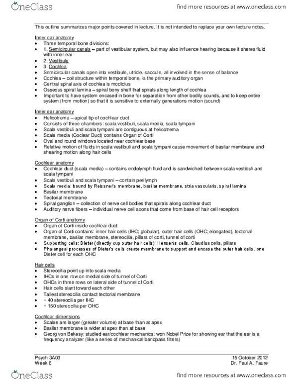 PSYCH 3A03 Lecture Notes - Temporal Bone, Vestibular System, Low Frequency thumbnail