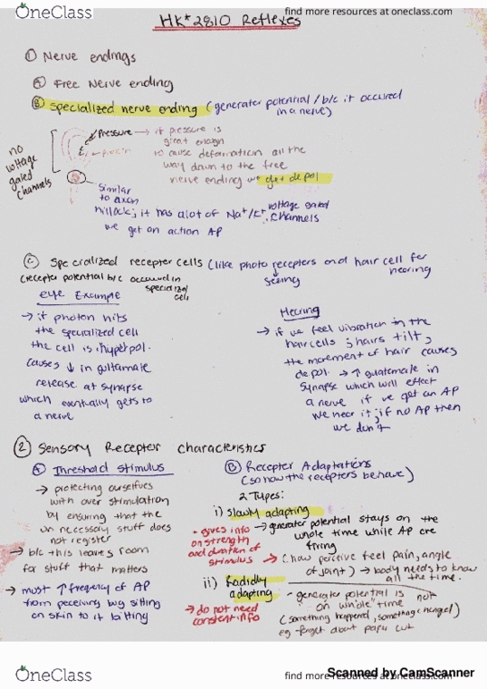 HK 2810 Lecture Notes - Lecture 9: Syu thumbnail