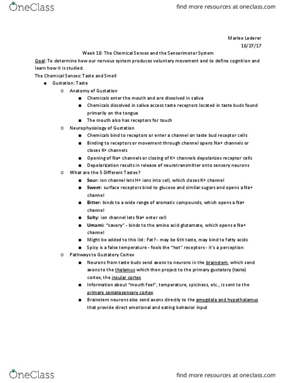 PSYC 2012 Lecture Notes - Lecture 23: Endocrine Disease, Aroma Compound, Olfactory Mucosa thumbnail