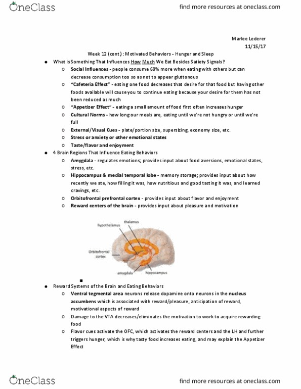 PSYC 2012 Lecture Notes - Lecture 31: Tegmentum, Ghrelin, Nucleus Accumbens thumbnail