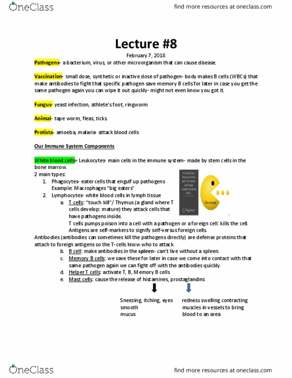 BIOL 100 Lecture Notes - Lecture 8: Cestoda, Itch, Protist thumbnail