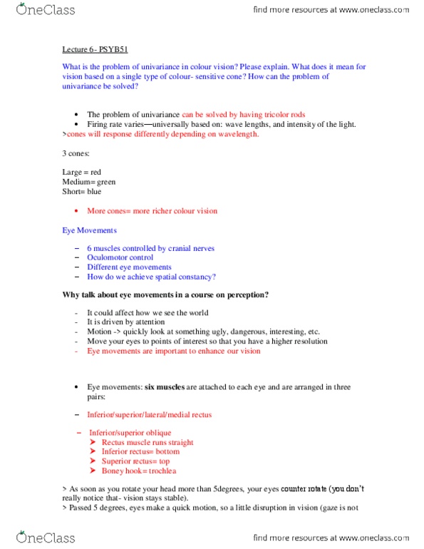 PSYB51H3 Lecture Notes - Lecture 6: Efference Copy, Color Vision, Strabismus thumbnail