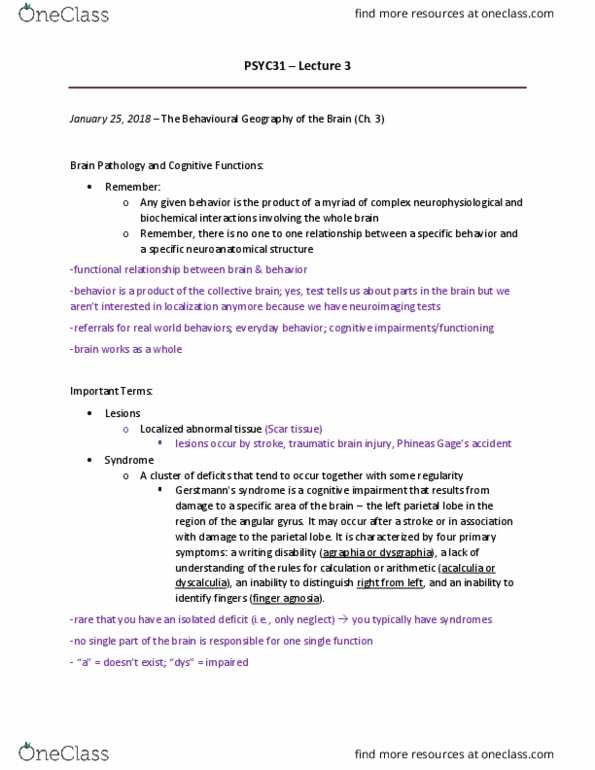 PSYC31H3 Lecture Notes - Lecture 3: Decussation, Medulla Oblongata, Motor Disorder thumbnail