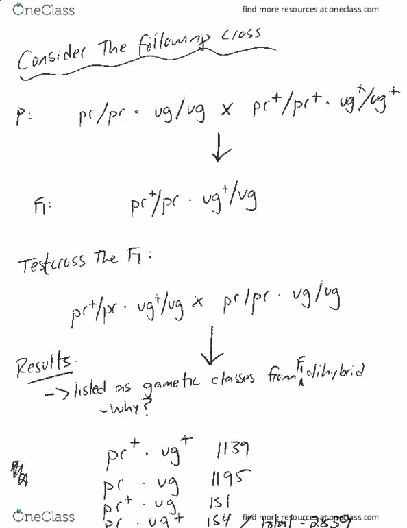 BLG 400 Lecture Notes - Lecture 2: Illinois Route 1 thumbnail