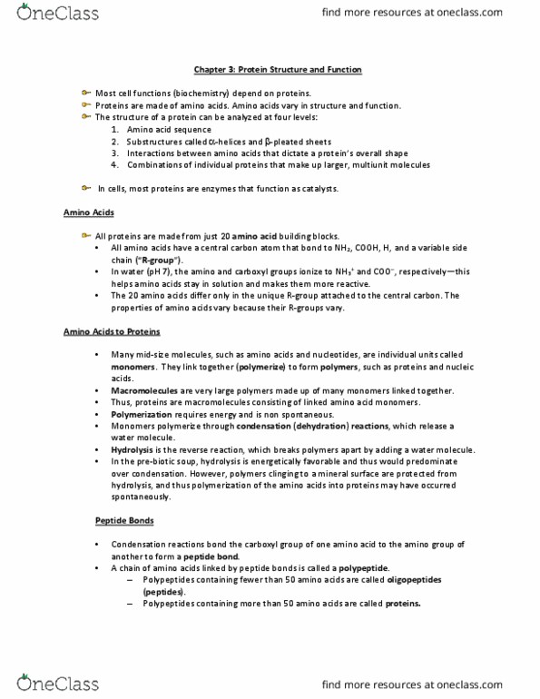 BLG 311 Lecture Notes - Lecture 3: Enzyme Catalysis, Crtc2, Protein Folding thumbnail