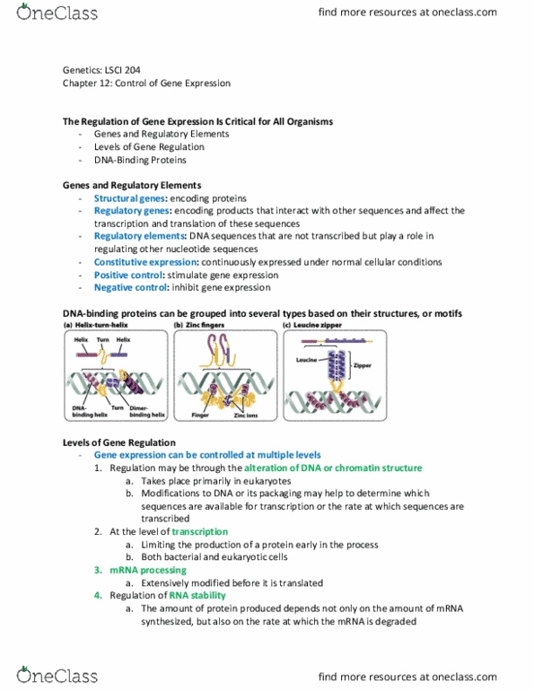 LSCI 204 Lecture Notes - Lecture 18: Permease, Transfer Rna, Cell Membrane thumbnail