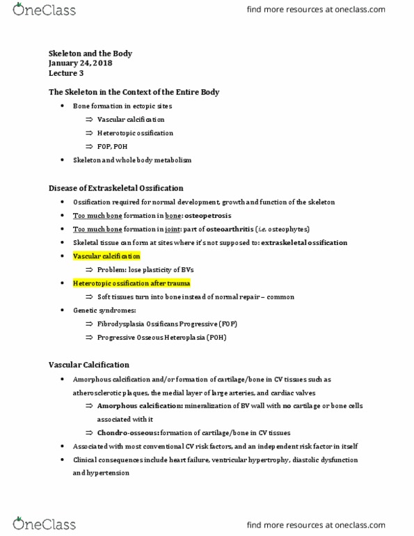 Physiology 4530A/B Lecture Notes - Lecture 3: Bone Resorption, Decarboxylation, Osteoclast thumbnail