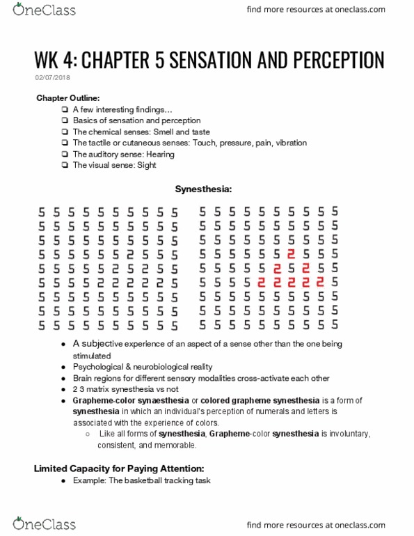 PSY 105 Lecture Notes - Lecture 4: Sensory Neuron, Grapheme, Synesthesia thumbnail