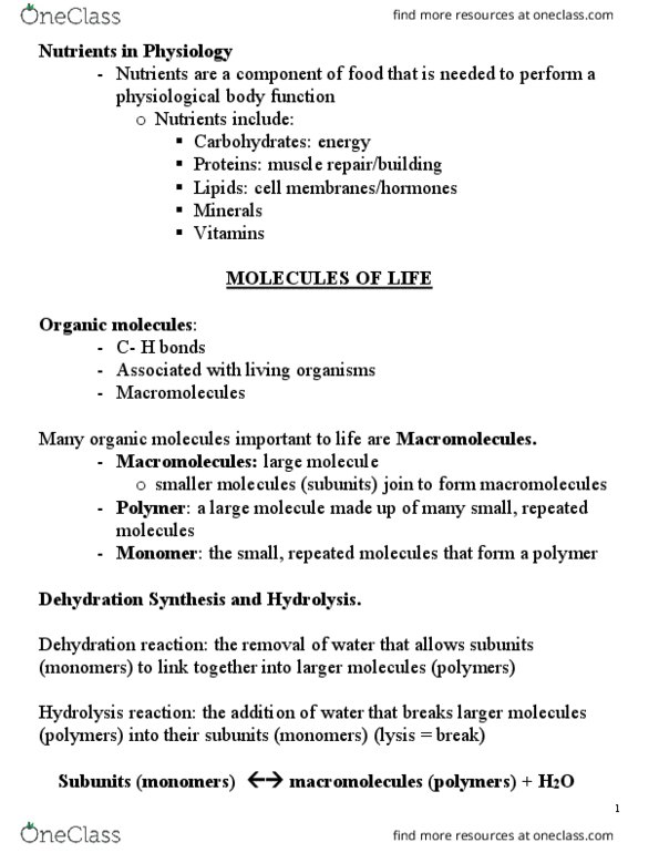 BIO 161 Lecture Notes - Lecture 2: Glycogen, Dipeptide, Cytosine thumbnail