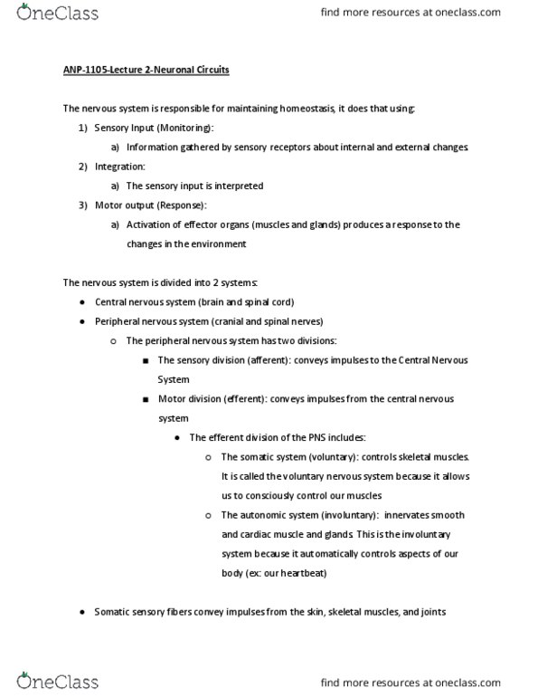 ANP 1105 Lecture Notes - Lecture 2: Mesolimbic Pathway, Retina, Oligodendrocyte thumbnail