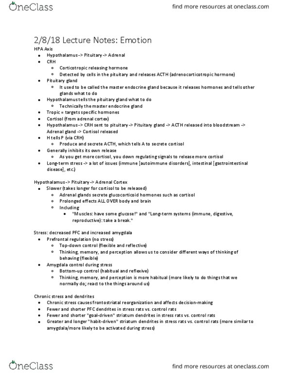 PSYCH 202 Lecture Notes - Lecture 24: Adrenocorticotropic Hormone, Striatum, Amygdala thumbnail