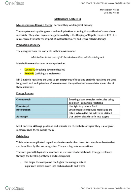 280 .201 Lecture Notes - Urease, Protein Structure, Heterotroph thumbnail