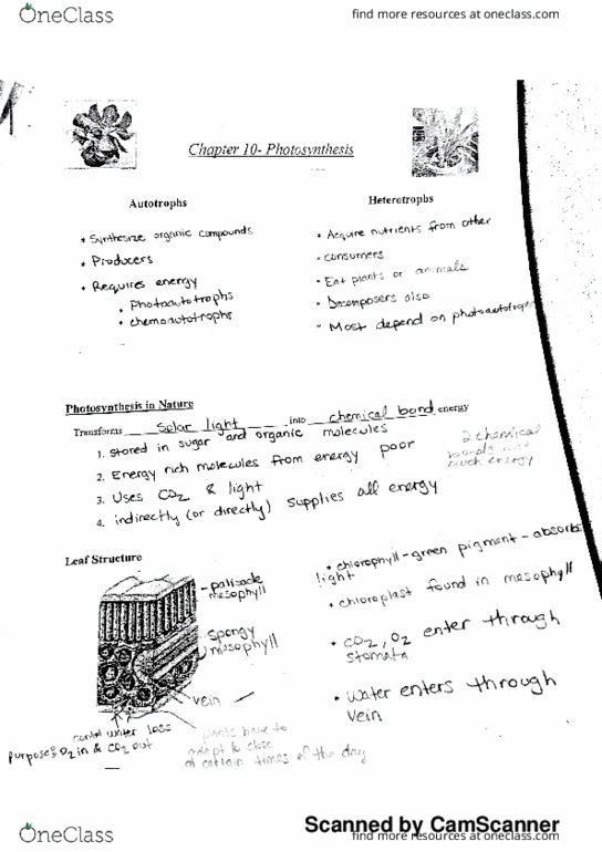 BIOL 2912 Lecture 6: new doc 6 thumbnail