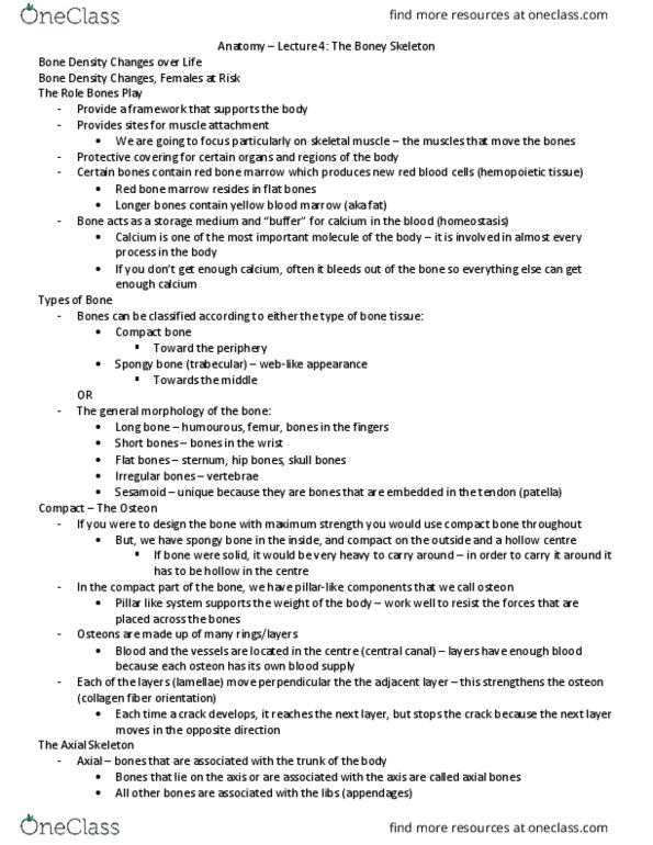 Health Sciences 2300A/B Lecture Notes - Lecture 4: Olecranon Fossa, Anterior Cranial Fossa, Symphysis thumbnail