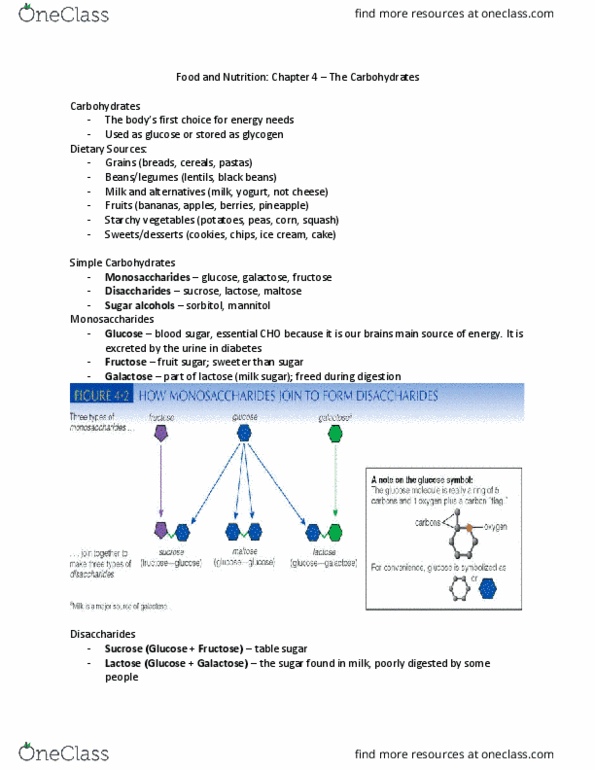 Foods and Nutrition 1021 Chapter Notes - Chapter 4: Maltase, Thiamine, Corn Syrup thumbnail