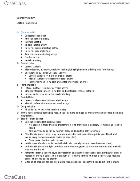 01:830:310 Lecture Notes - Lecture 5: Spinal Nerve, Posterior Cerebral Artery, Fourth Ventricle thumbnail