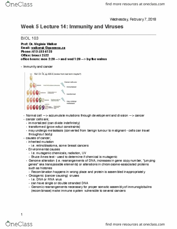 BIOL 103 Lecture Notes - Lecture 14: Provirus, Transposable Element, Retrovirus thumbnail