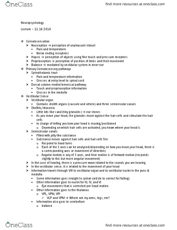 01:830:310 Lecture Notes - Lecture 17: Saccule, Brodmann Area, Prefrontal Cortex thumbnail