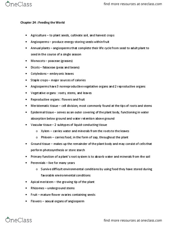 BISC104 Chapter Notes - Chapter 24: Meristem, Fabaceae, Poaceae thumbnail