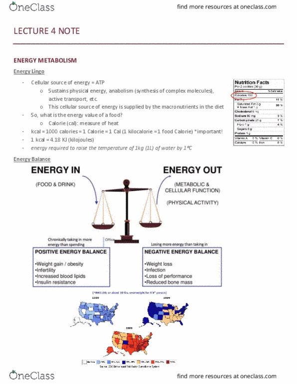 NUTR 3210 Lecture Notes - Lecture 4: Calorimeter, Antoine Lavoisier, Max Rubner thumbnail