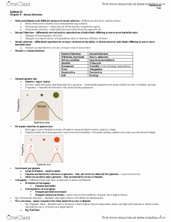 PSYCH 2TT3 Lecture 11: Lecture 11 (Chapter 6) - April 1- PSYCH 2TT3 thumbnail