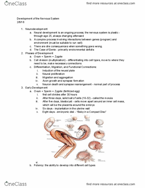 BCS 110 Lecture Notes - Lecture 7: Embryonic Stem Cell, Embryonic Disc, Neural Plate thumbnail