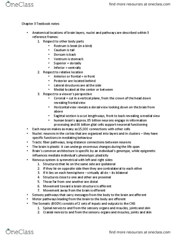 PSYCH 2NF3 Chapter Notes - Chapter 3.1: Dura Mater, Pia Mater, Spinal Nerve thumbnail