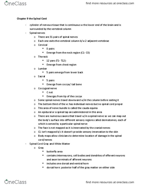 HN220 Chapter Notes - Chapter 9: Dorsal Root Ganglion, Anterior Grey Column, Posterior Grey Column thumbnail