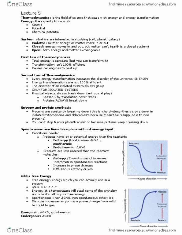 Biology 1002B Lecture Notes - Glutamine, Exergonic Reaction, Thermodynamics thumbnail